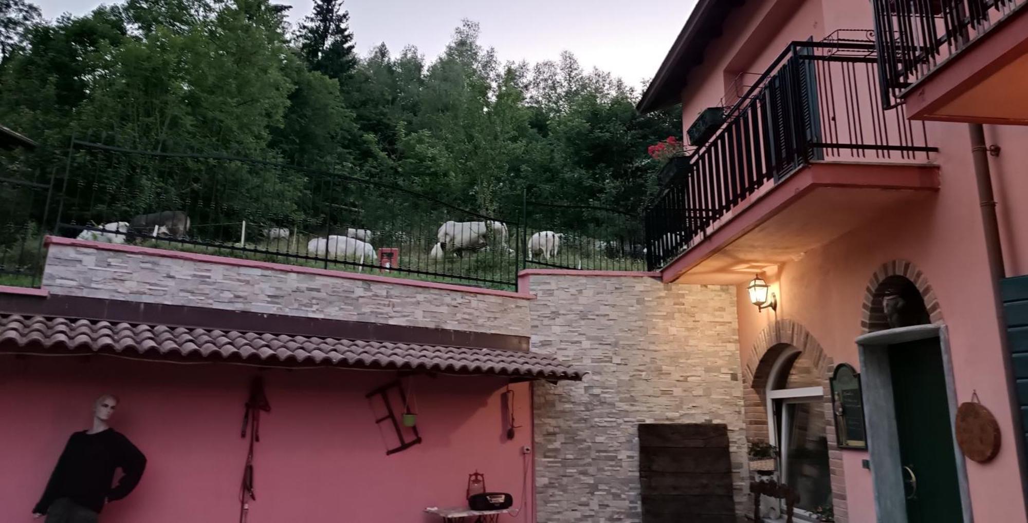 B&B Casa Dell'Orso Lurisia Εξωτερικό φωτογραφία